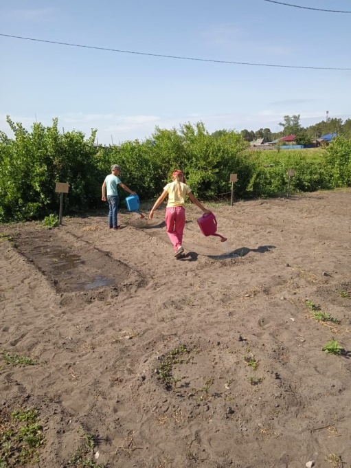 Летняя трудовая практика.